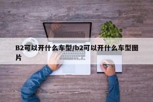 B2可以开什么车型/b2可以开什么车型图片