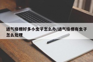 进气格栅好多小虫子怎么办/进气格栅有虫子怎么处理