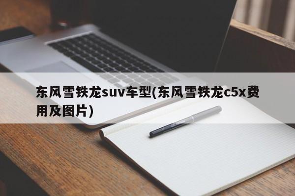 东风雪铁龙suv车型(东风雪铁龙c5x费用及图片)