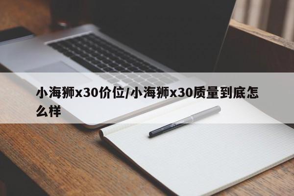 小海狮x30价位/小海狮x30质量到底怎么样